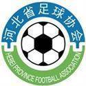 河北青年 logo